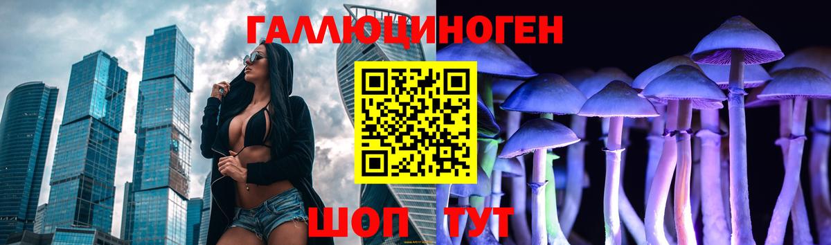 Анжеро-Судженск  Галлюциногенные грибы Cubensis  Вход с VPN 