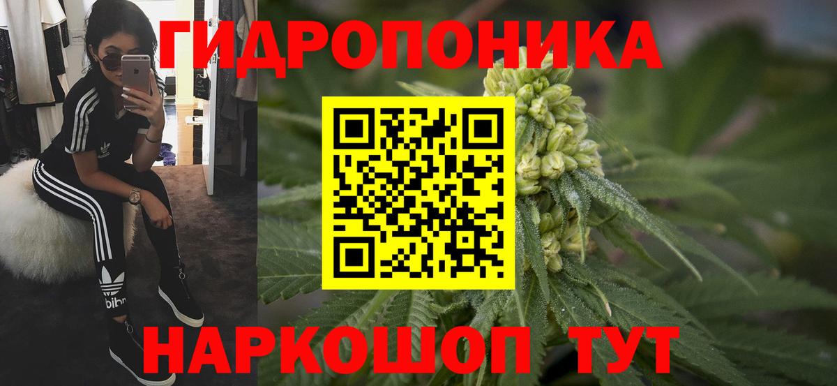 Бошки Шишки семена Анжеро-Судженск